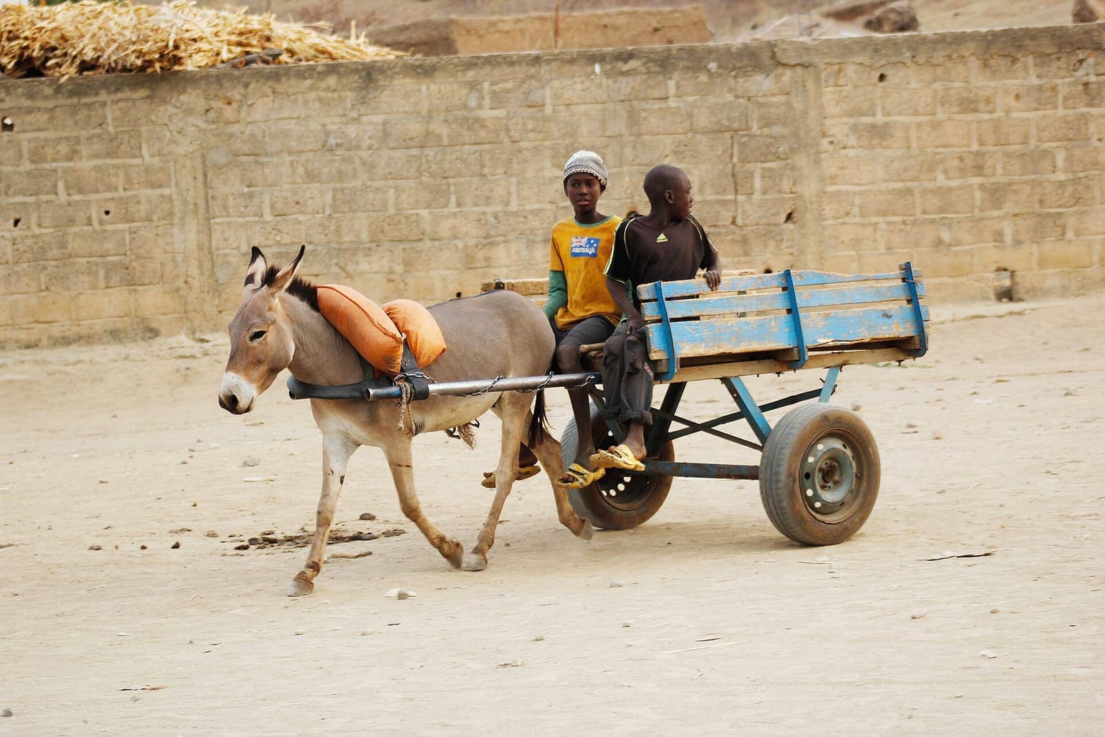 A donkey pulling a cart in a village